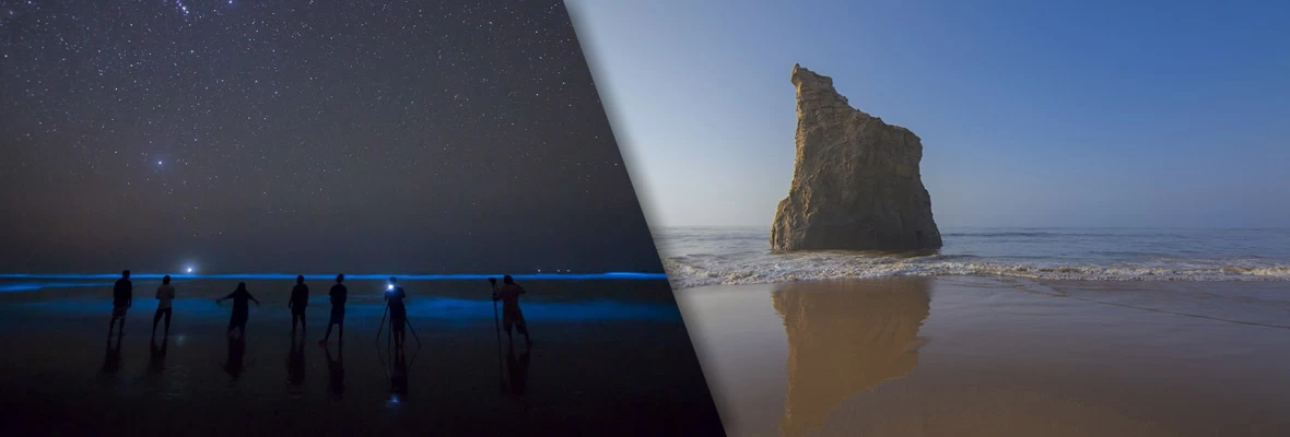 bioluminescent-beach-pakistan